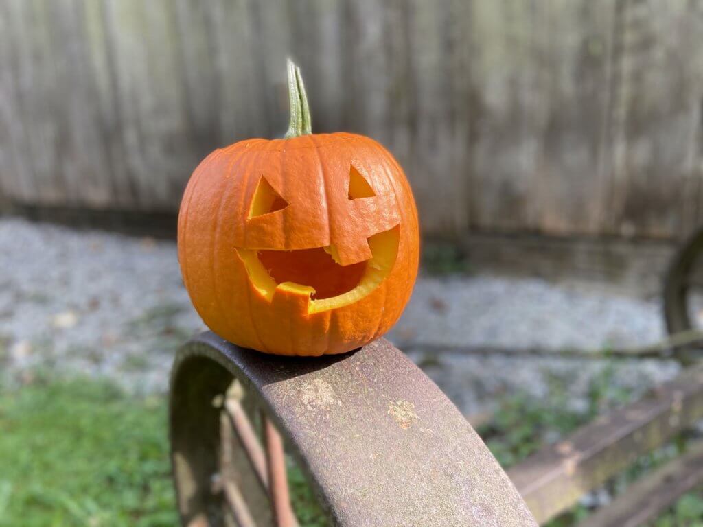 Pumpkinonwagonwheelbarn_Fall_IMG_9146 RockRidge